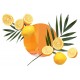  Namų kvapas Mediterian Citrus Carbaline 250ml https://medikatus.lt